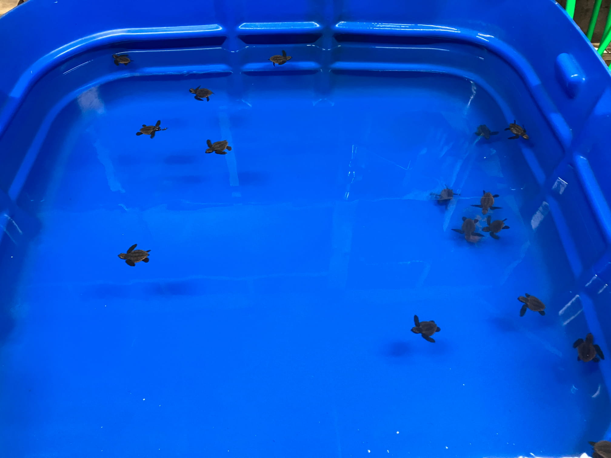 次の記事のサムネイル